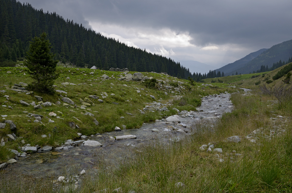 Mountain creek - larger format