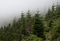 On descent - main link