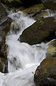 Mountain creek - main link