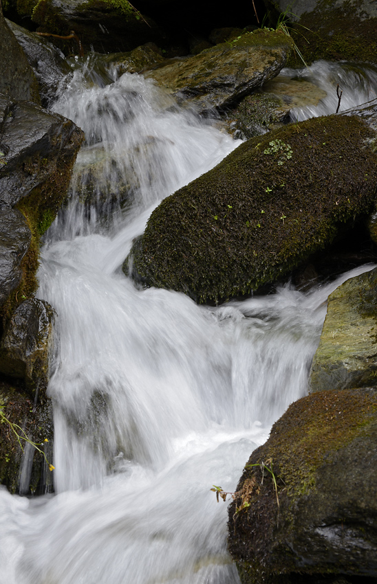 Mountain creek - larger format