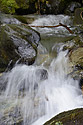 Mountain creek - main link