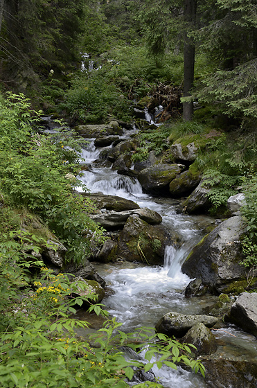 Mountain creek - smaller format