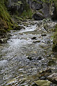 Creek - main link
