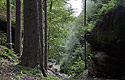 In the ravine - main link