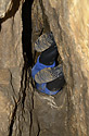Entry into the "Flowing cave" - main link