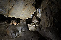 In the "Flowing cave" - main link