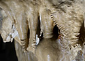 In the "Flowing cave" - main link