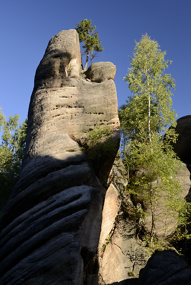 Na skle - men formt