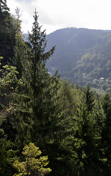 Nad Labem - men formt