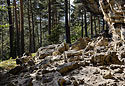 In rocks - main link
