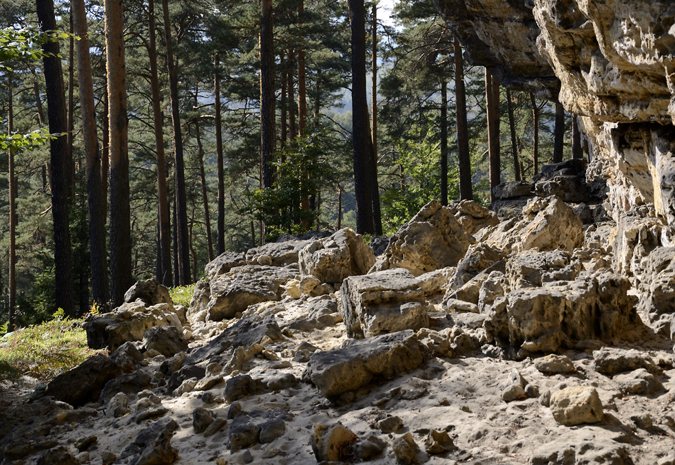 In rocks - larger format