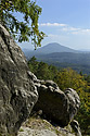 "Rose Hill" - main link