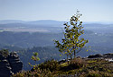 On the "Grouse Walls" - main link