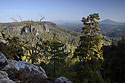 "Rose Hill" - main link