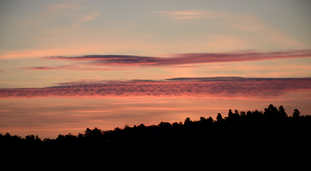 The blush of down - larger format