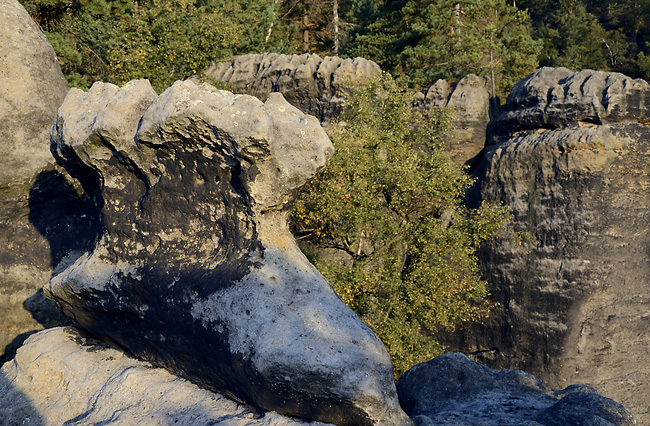 On the rock - smaller format