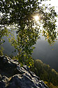 Backlight - main link