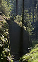 At "Dry White Creek" - main link
