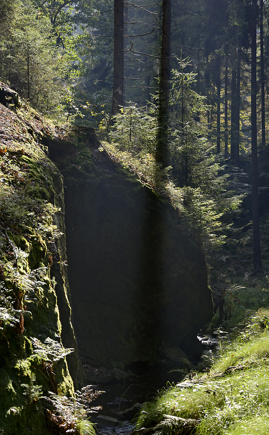 At "Dry White Creek" - larger format