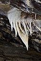 Dripstones - main link