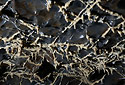 Grating - main link