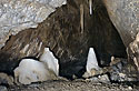 The Dome "At two big..." - main link