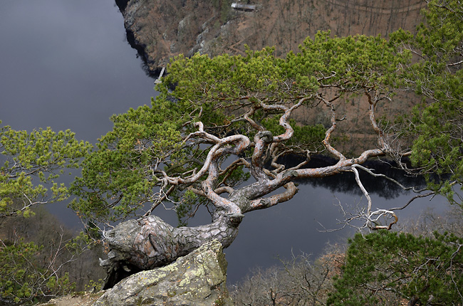 On the "May" rock - smaller format