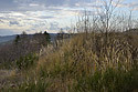 In the quarry - main link