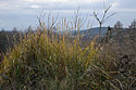 In the quarry - main link
