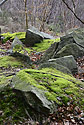 In the quarry - main link