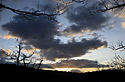 Last rays - main link