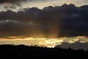 Last rays - main link