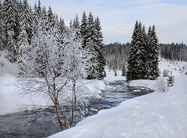 "Roklan Creek" - smaller format