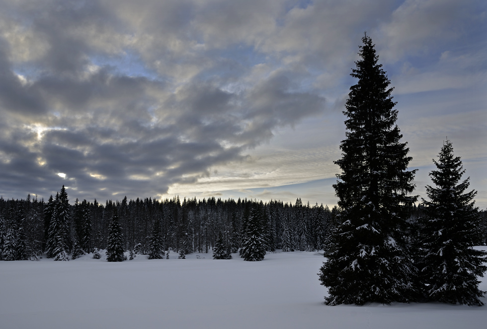 Early evening - larger format