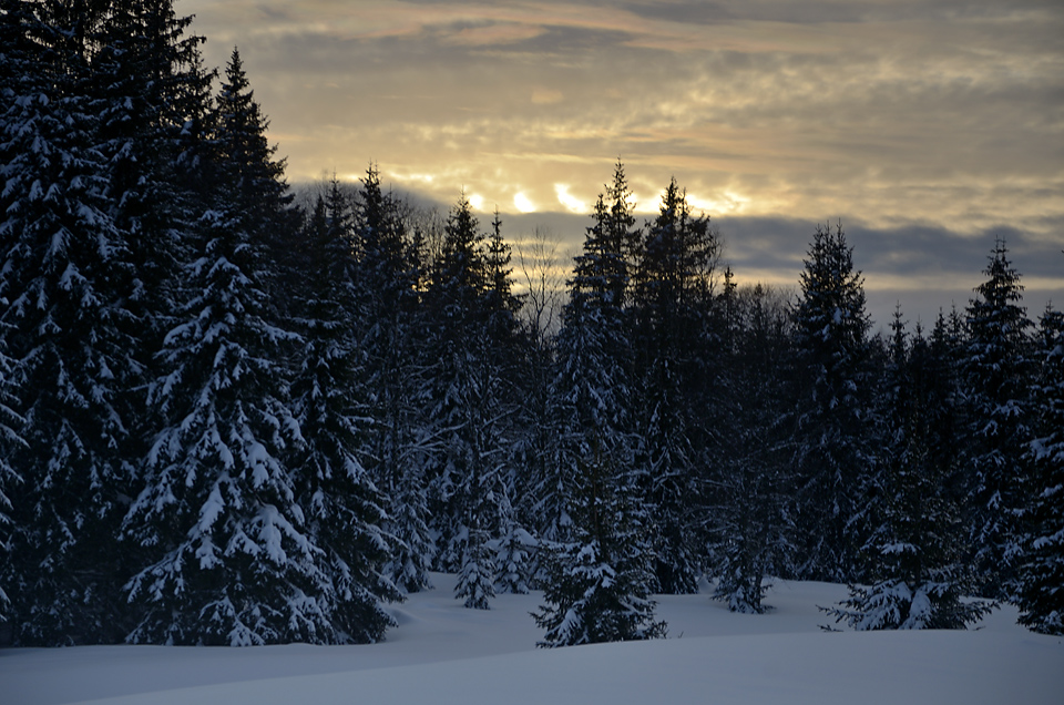 Early evening - larger format