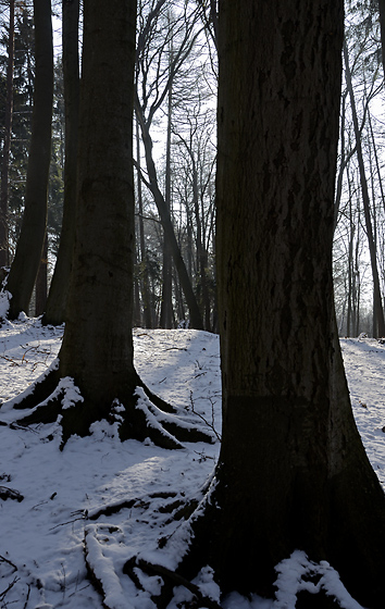 At "Bezdz" - smaller format