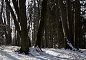 At "Bezdz" - main link