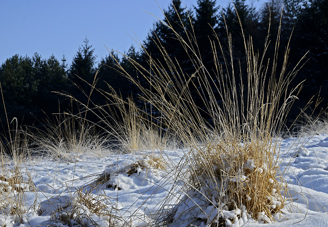 At "Bezdz" - smaller format