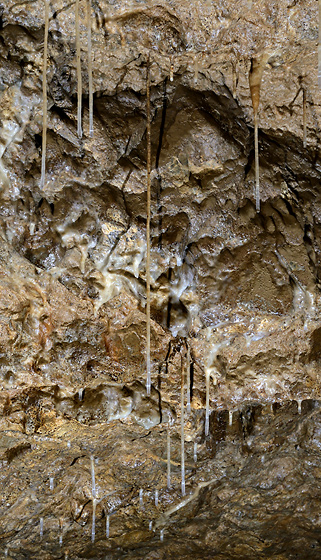 Straw-dripstones - smaller format