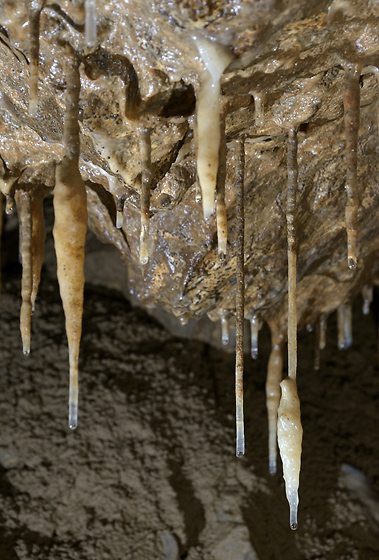 Straw-dripstones - smaller format