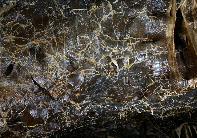 On the ceiling - smaller format