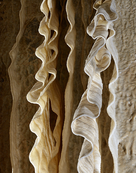 Seven-curtain - smaller format