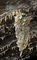 Sediments from people - main link