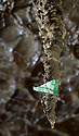 Sediments from people - main link