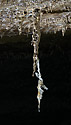 Sediments from people - main link