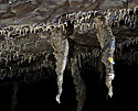 Sediments from people - main link