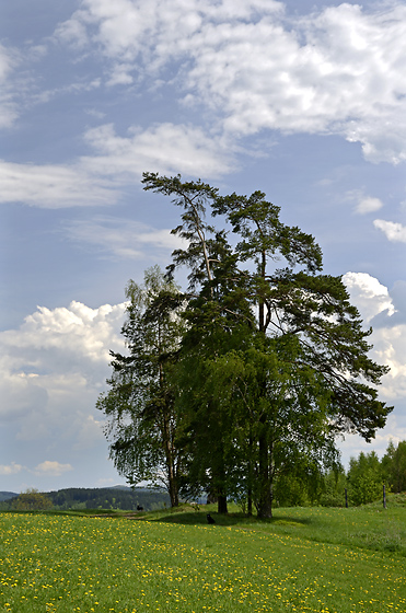 Near "Hejda" - smaller format