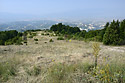 On descent from mountains - main link