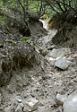 In the gorge - main link