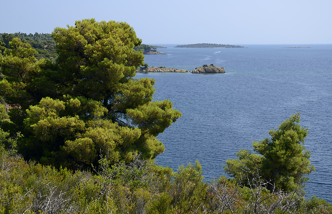 Seaside - smaller format
